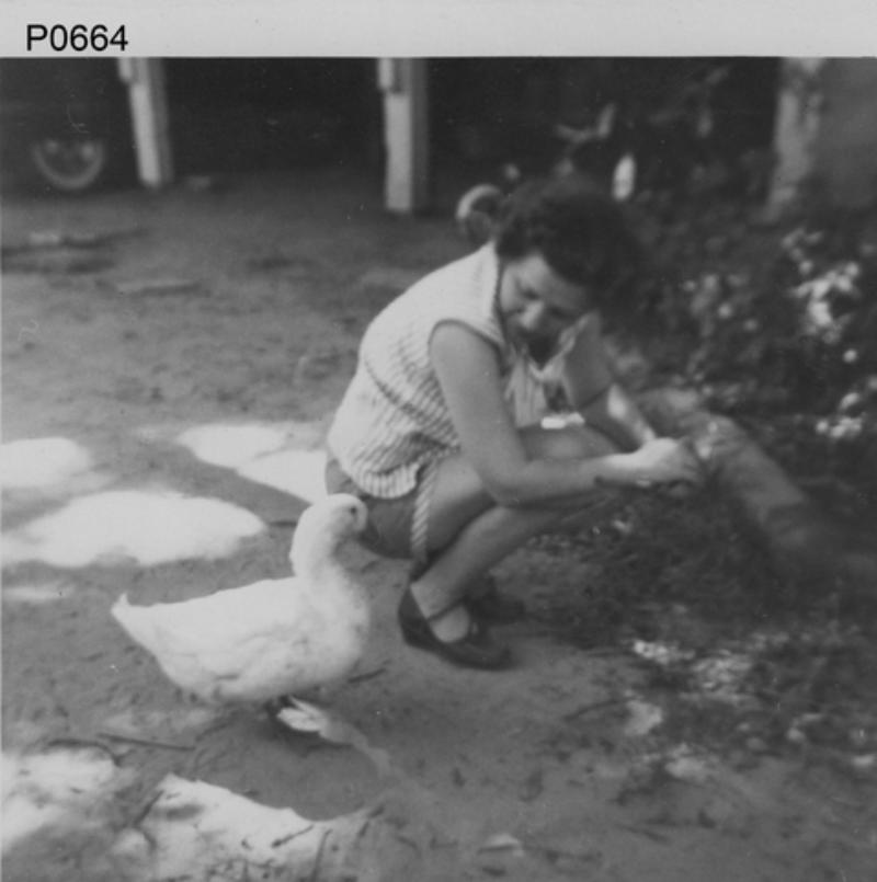 P0664